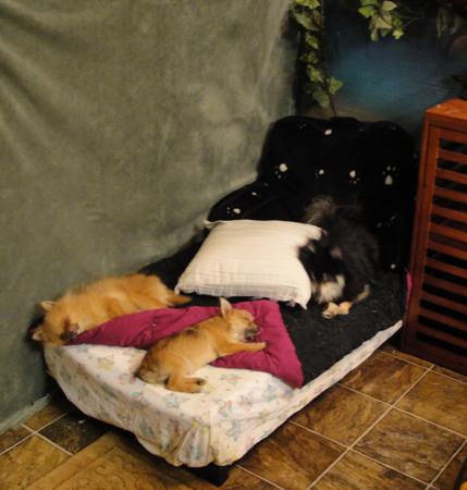 asleeponthecouch.jpg