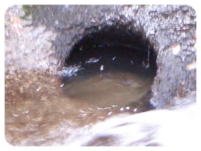 dryfall.jpg