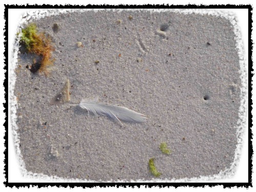 Feather2